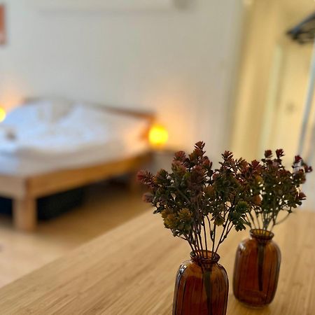 Gemuetliche Wohnung Naehe Uni Bázel Kültér fotó